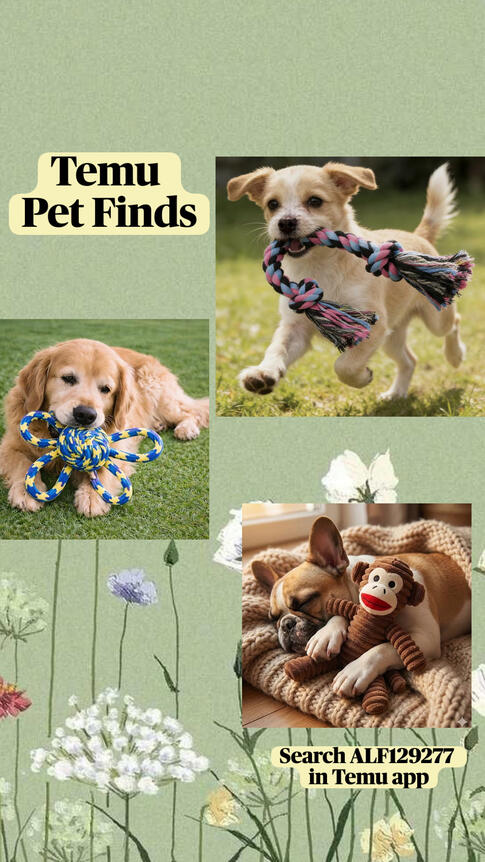 Temu pet finds featuring dog toys, pet accessories, puppy supplies, and affordable pet products.